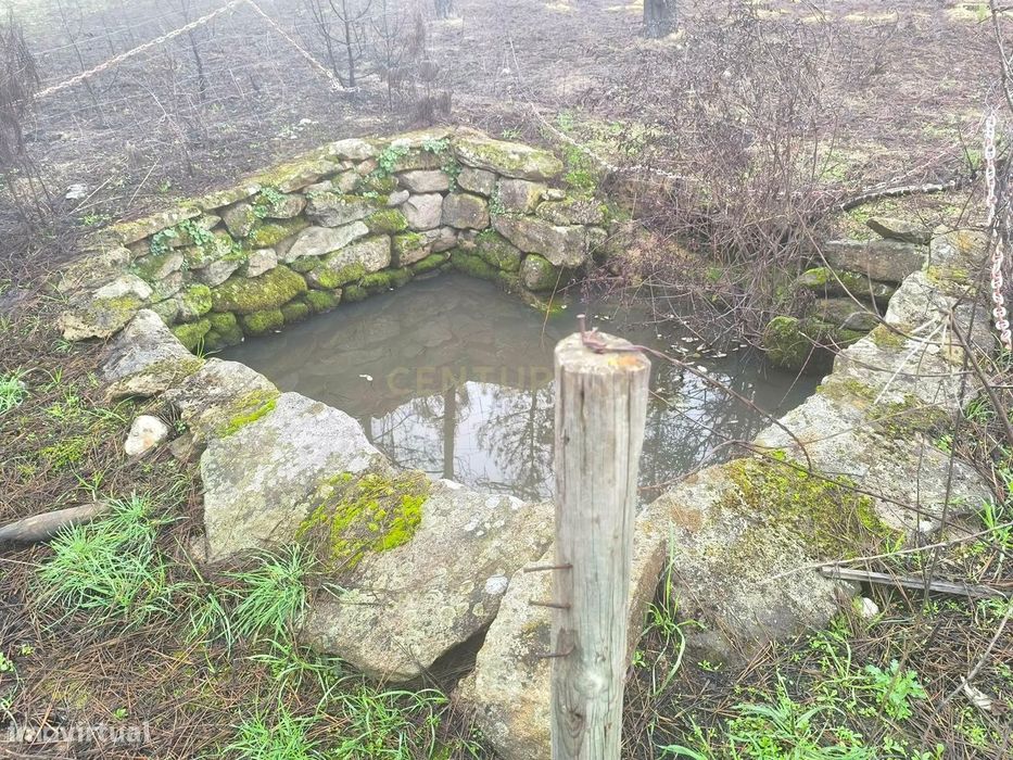 Terreno com vinha e poço - Perto da Zona Industrial de Chaves