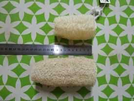 Esponja Vegetal, Bucha, Luffa