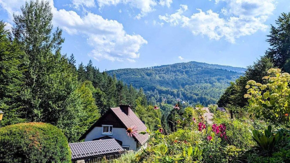 Domek w Puszczy/sauna/balia