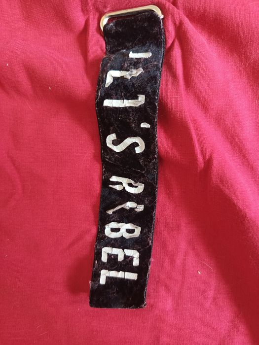 Bluza z taśmą na plecach sinsay