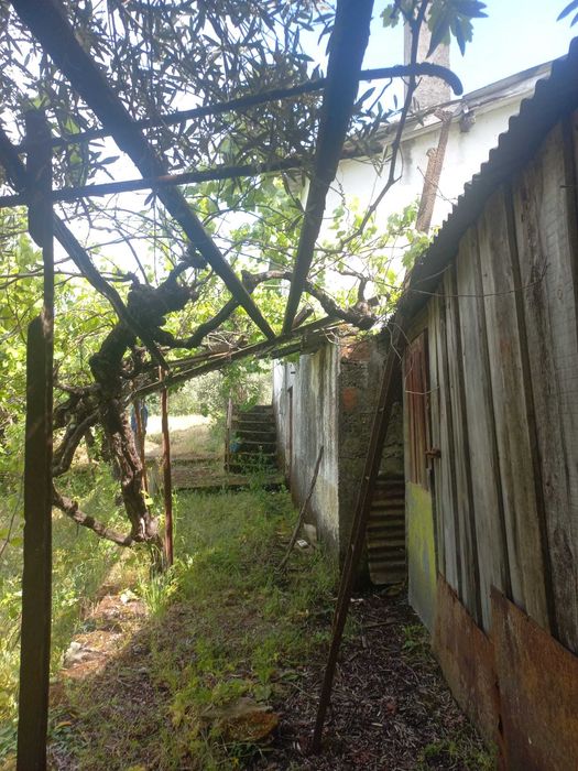 Casa antiga  geminada em plenas minas tuela
