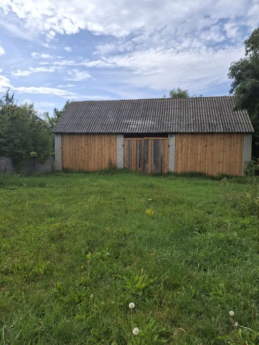 Zdjęcie 5