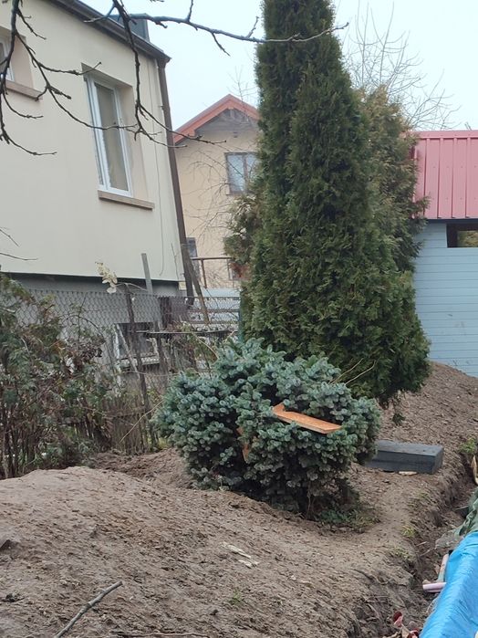 Oddam ziemię ziemia