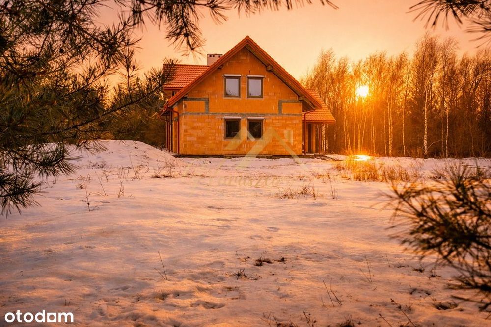 Jagłowo | 6362 m² | Natura nad Biebrzą