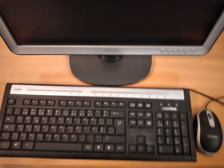 Philips Computer Keyboard with Mouse64585626556035121