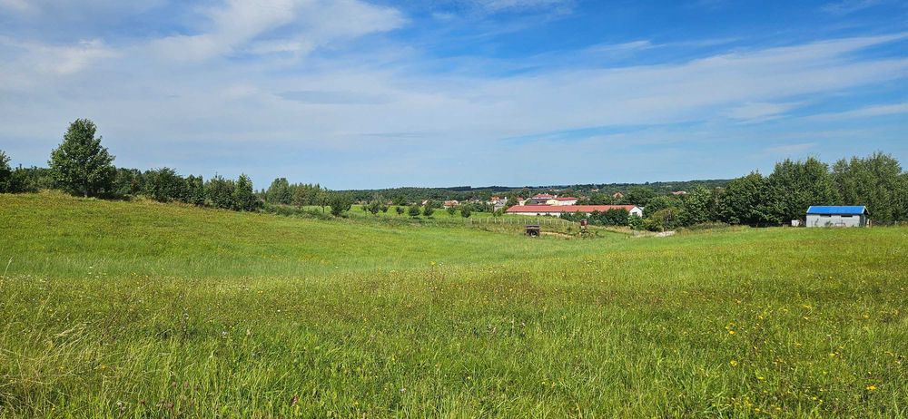 Działka o powierzchni 3000 m² z warunkami zabudowy, Mazury, Stare Juchy - Widok 3