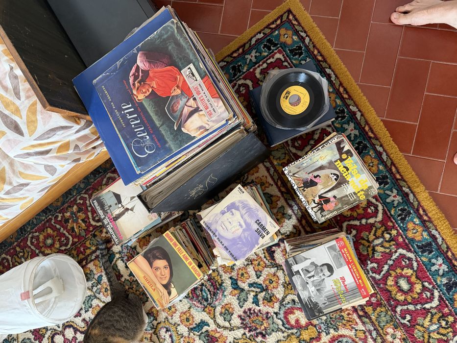 Lote 500+ discos vinil