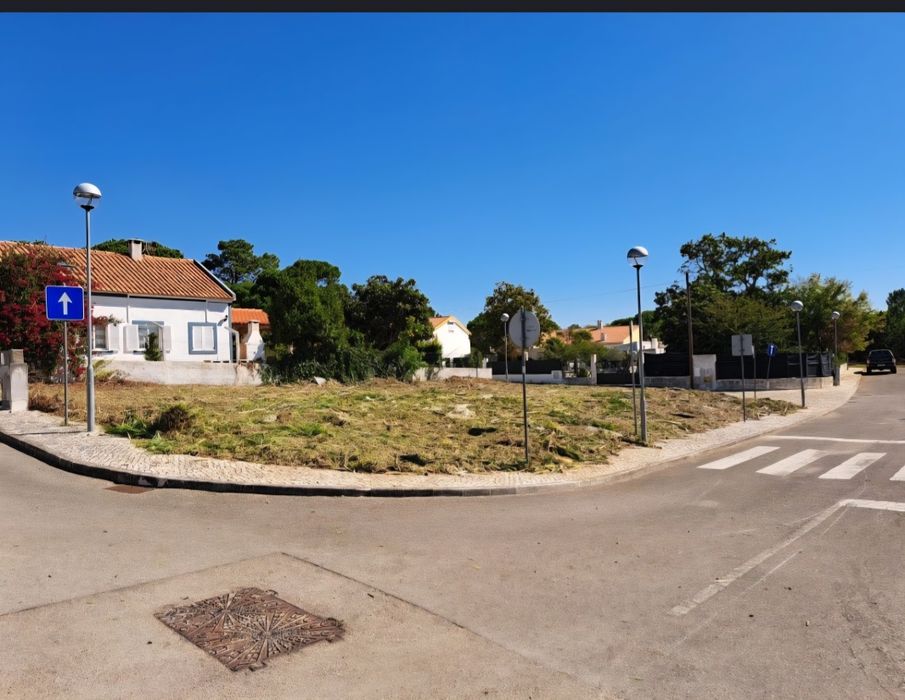 Limpeza terrenos jardins corte árvores