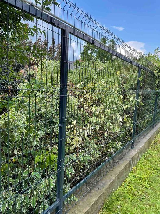 Огорожа сітка для дому саду парку хвіртка ворота 3,0/4,0/5,0/6,0метрів