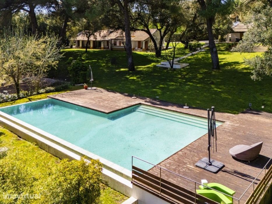 Refúgio Contemporâneo entre Vinhas na Comporta