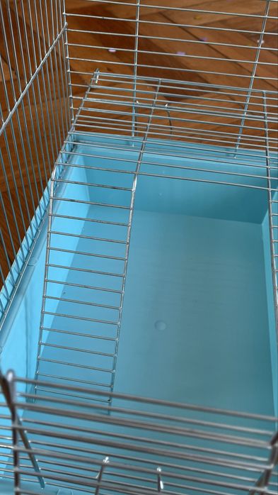 Клітка для пацюків або папуги