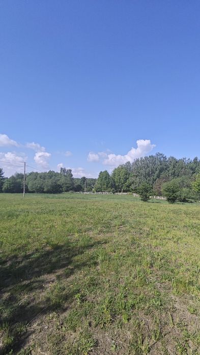 Działki z linią brzegową -Mazury miejscowość Kwik -Jezioro Białoławki