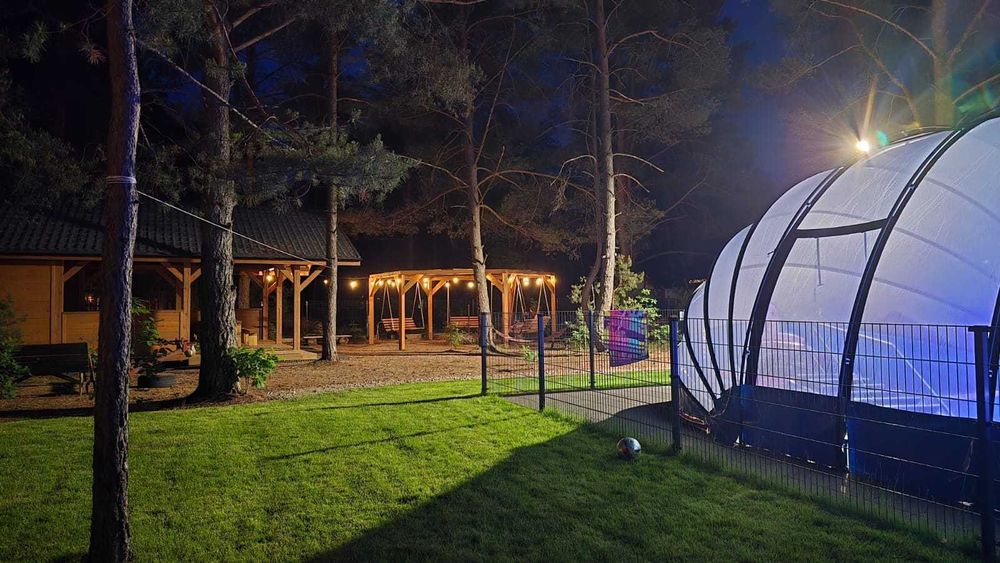 Oferta last minute- basen z podgrzewaną wodą, psy mile widziane, Leśne Runo Borsk