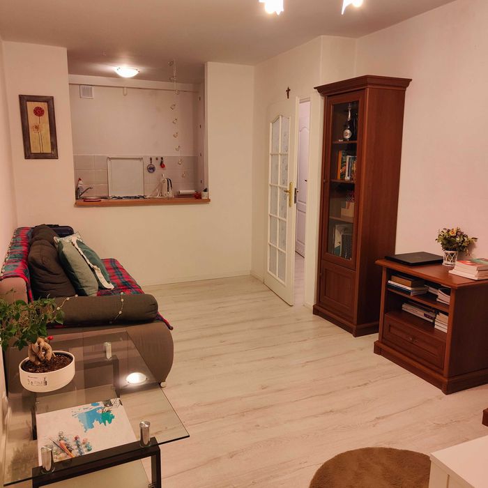 Mieszkanie dwupokojowe z balkonem ul. Raszyńska Poznań - Widok 4