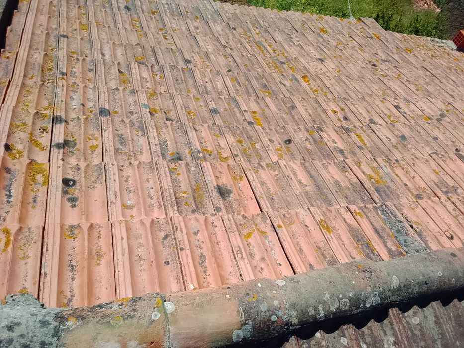 Telha tipo marselha - torreense e margon