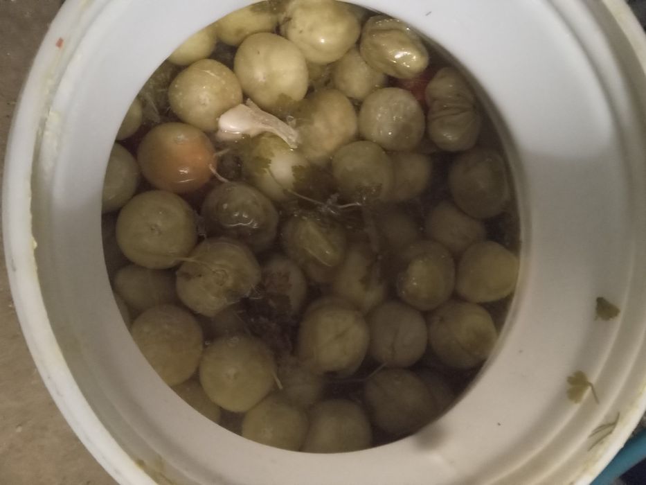 Домашні соління Помідора та цвітної капусти