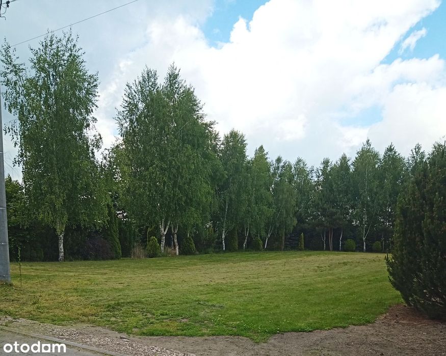 Działka budowlana 2900m² z mediami i dojazdem