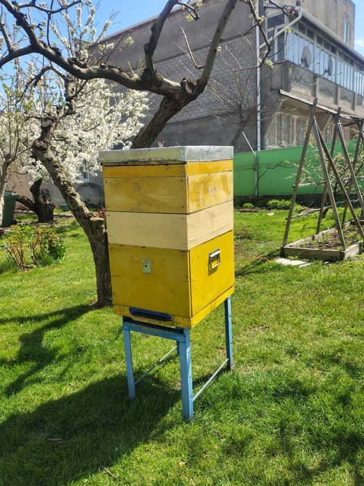 Вулики Дадан 10 рамкові з магазинами
