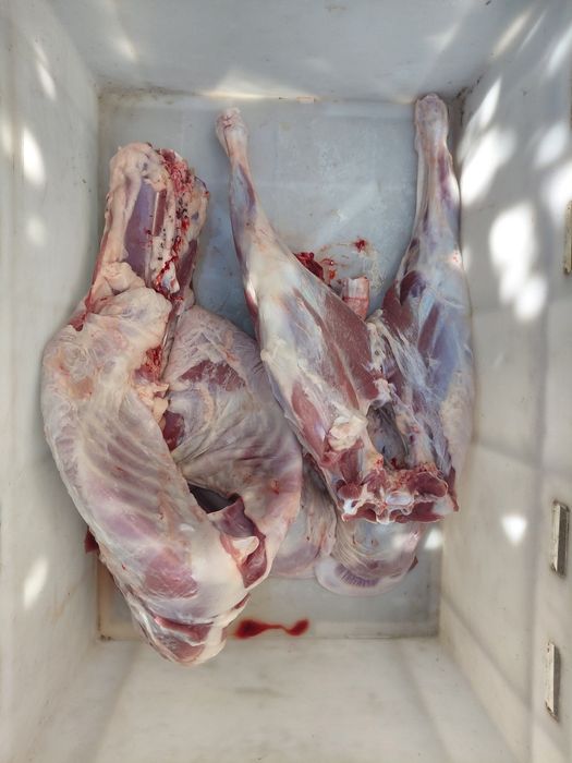 Мясо( без кістки), тушка Баранина, козлятина,  ягнятина . СВІЖЕ!