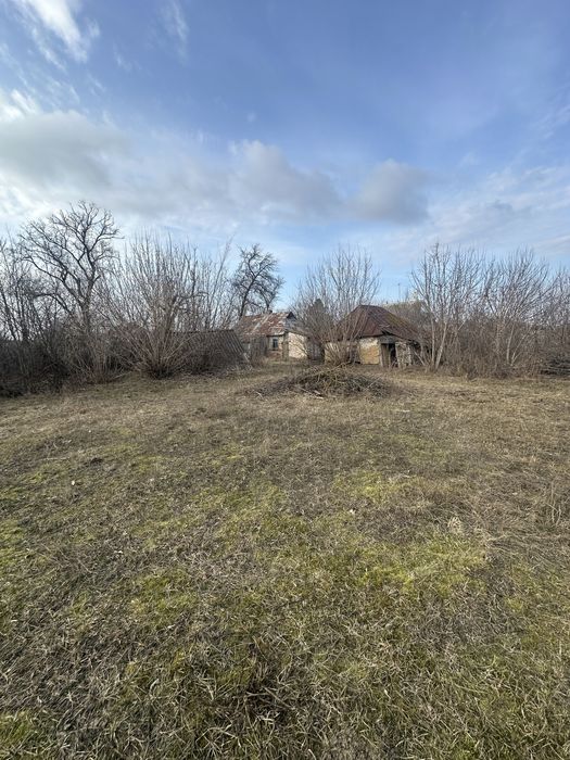 Продам земельну ділянку в Рачках коло лісу