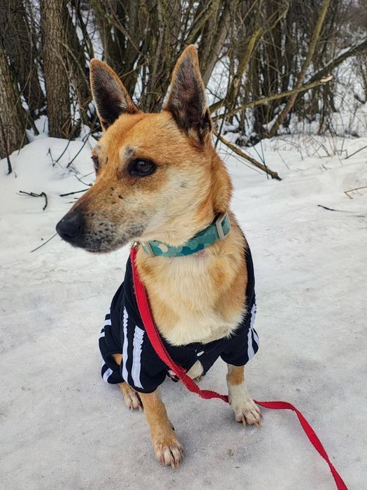 ROKI - „Nie potrzebuję wiele. Wystarczy mi człowiek, którego będę mógł kochać.”
