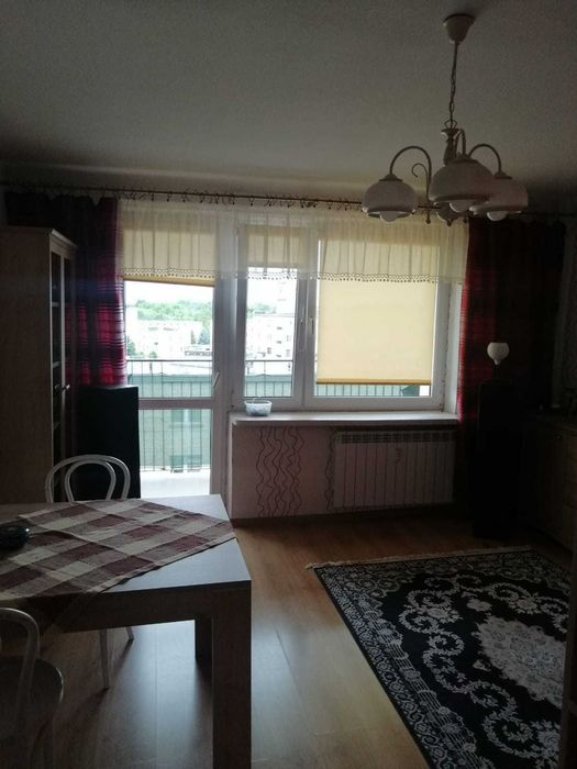 Zdjęcie 5