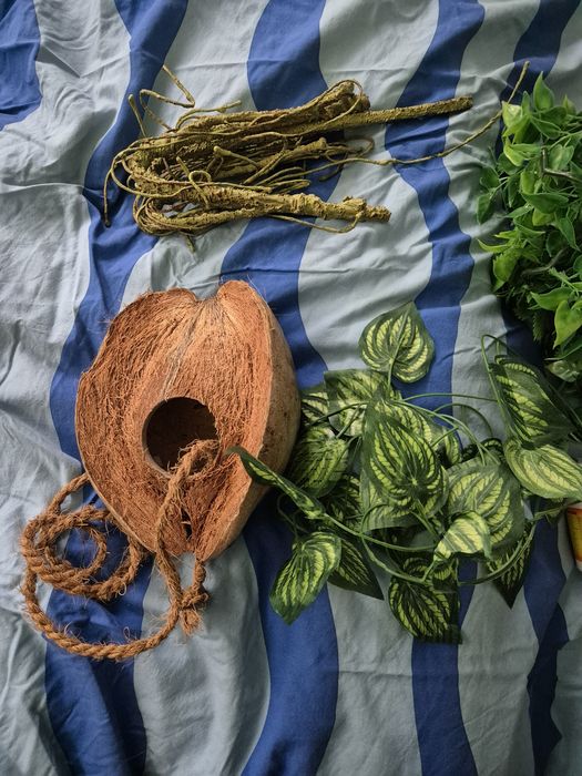 Terrarium klatka dla kameleona jaszczurki