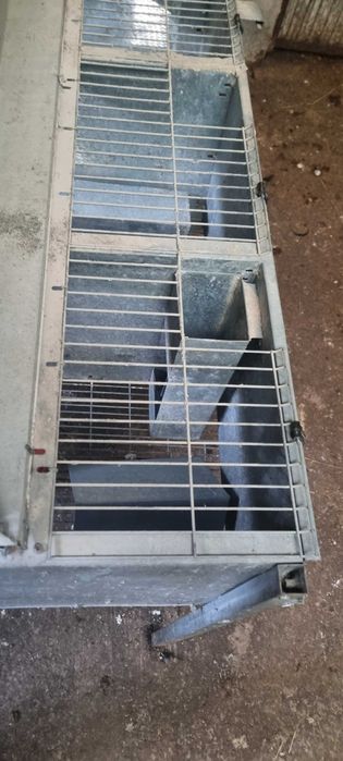 Jaula perdizes / codornizes