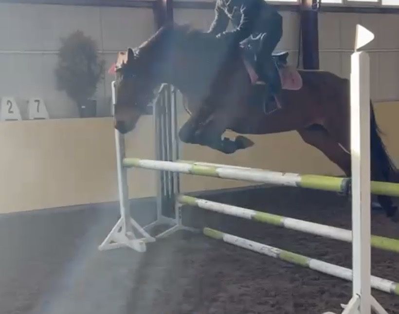 Sprzedam klacz 8 lat