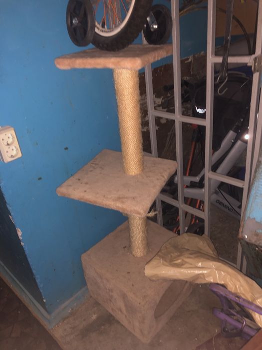 Когтеточка для кошек и котят, домик