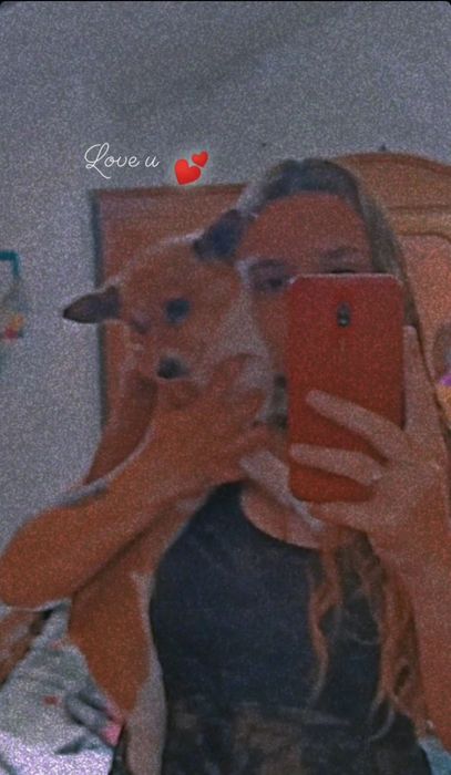 2 Cães de porte pequenao