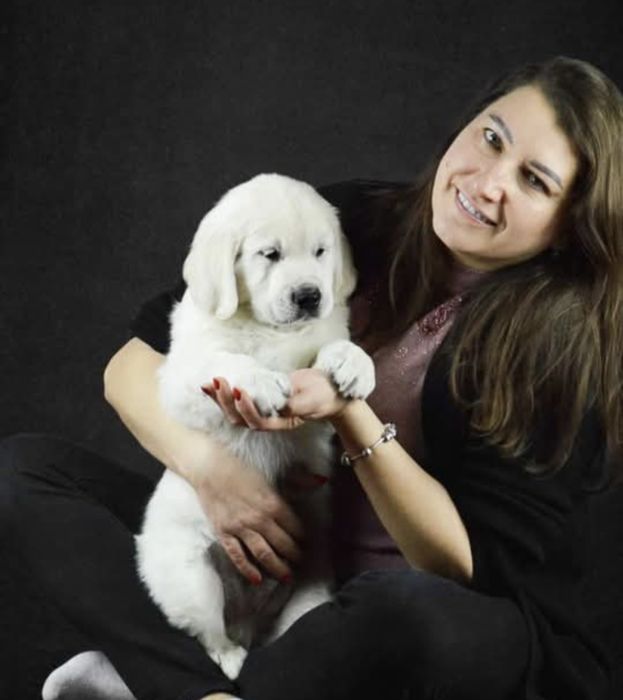 Golden Retriever FCI ZKwP