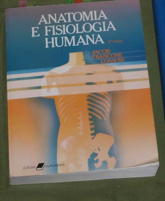 Fisioterapia na Ortopedia e Medicina do Esporte