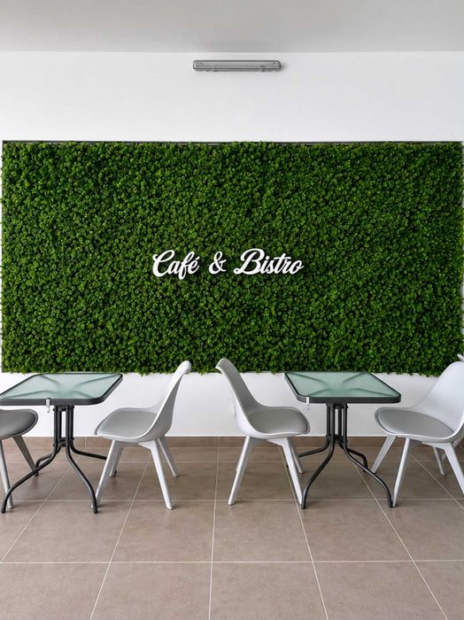 Trespasse café & bistro em funcionamento / Leasehold sale of operating café & bistro
