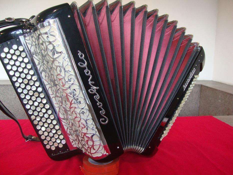 Acordeao Cavagnolo 4 Voz 120 Baixos N. 5