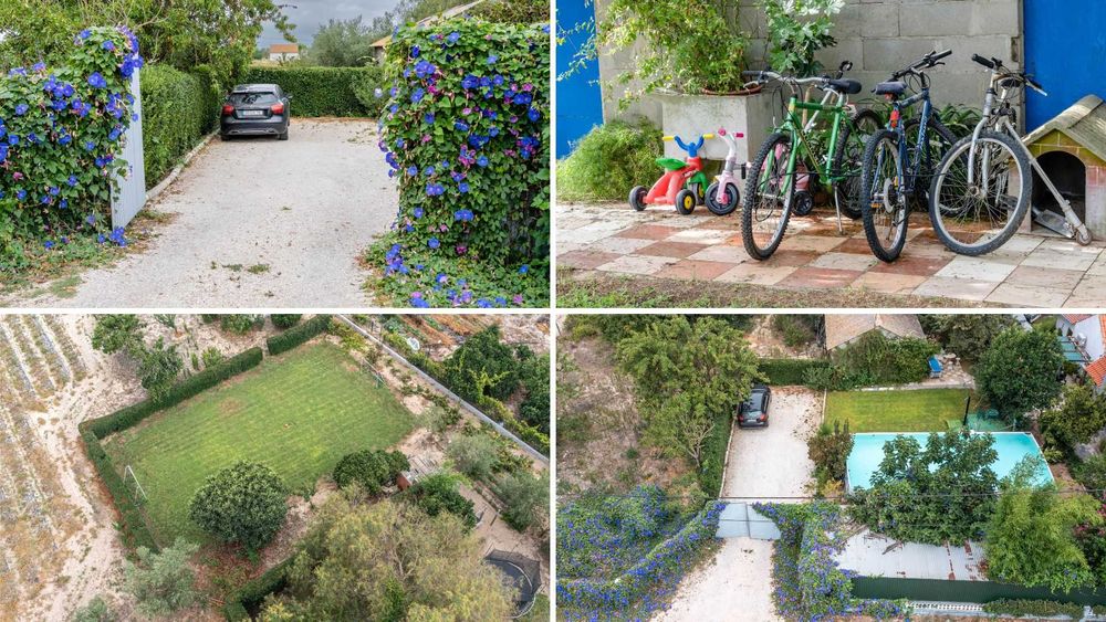 Quinta no Ribatejo (casa de férias)