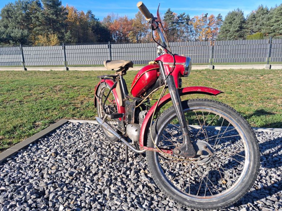 Komar sztywniak 1968