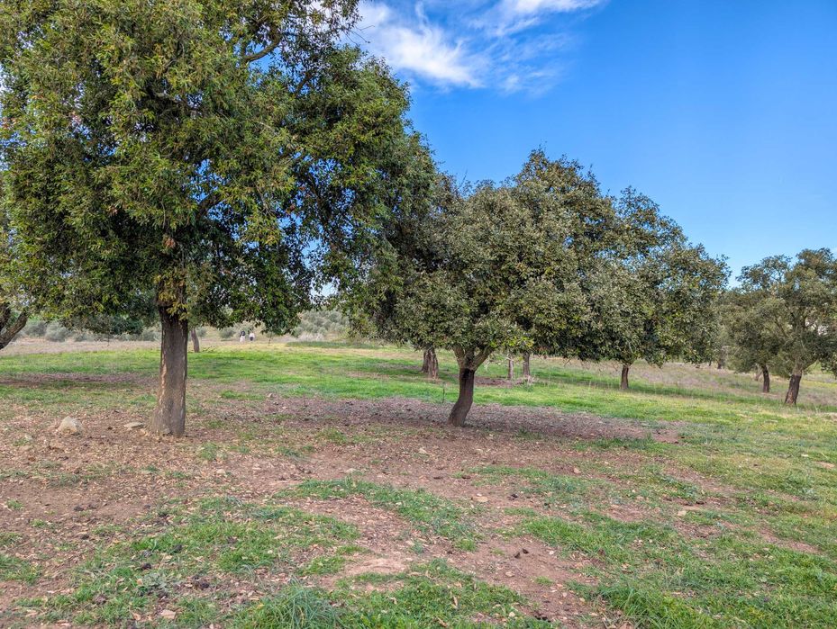 Propriedade única com a possibilidade de construção até 500 m²