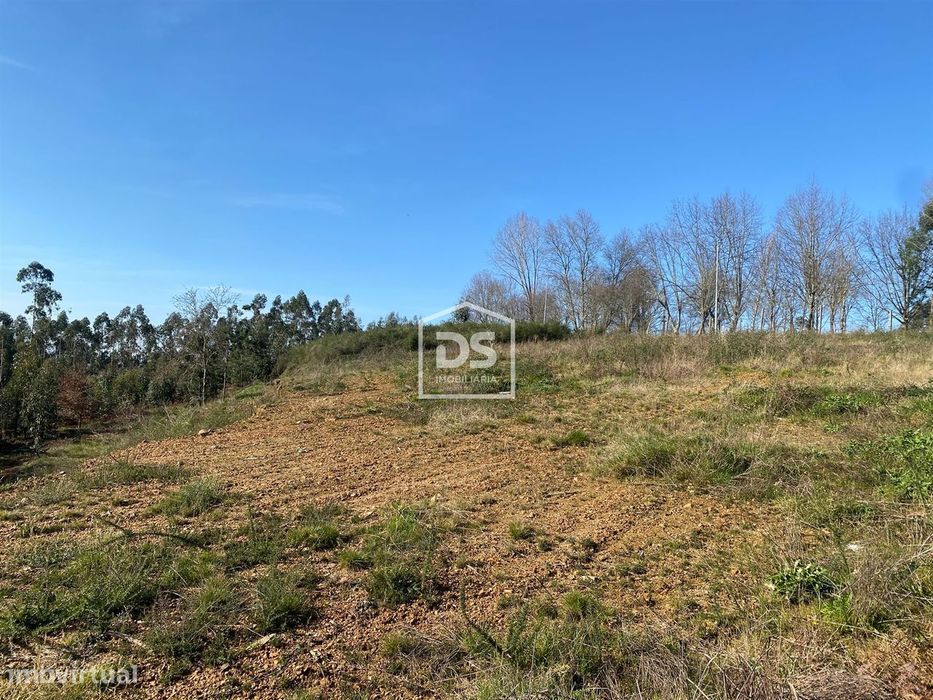 Terreno Rústico  Venda em Macieira da Lixa e Caramos,Felgueiras