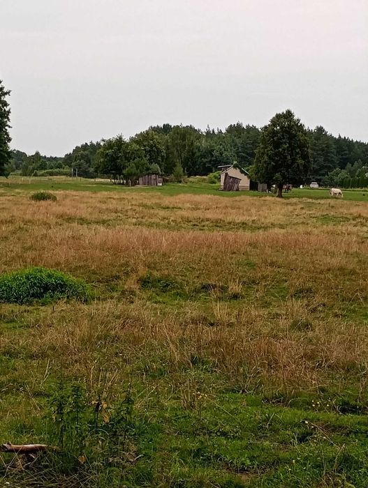 Siedlisko nad rzeką - Więcej