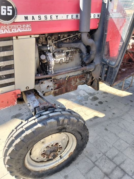 Sprzedam Massey Ferguson