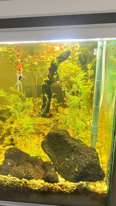 Aquario 200lt completo