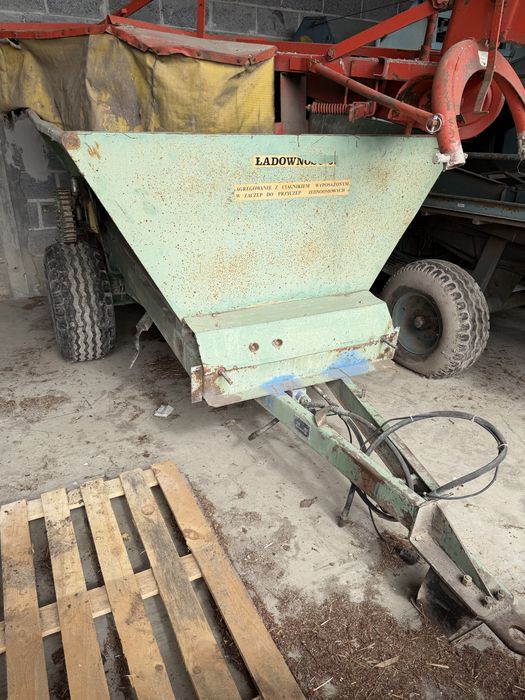 Rcw 3 rnp wapniarka piast amazone bredal