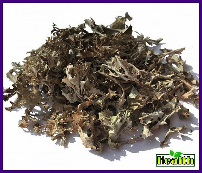 Ісландський мох (500г)