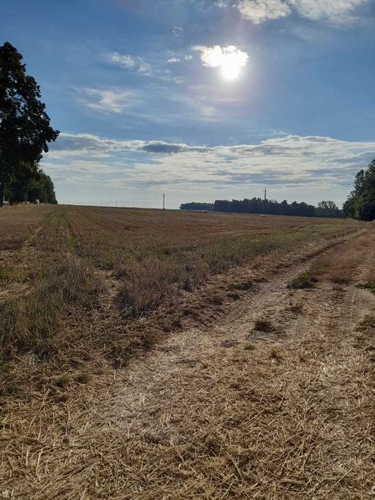 Działka rolna 1.1800 ha miejscowość, Góry, gmina Michałów