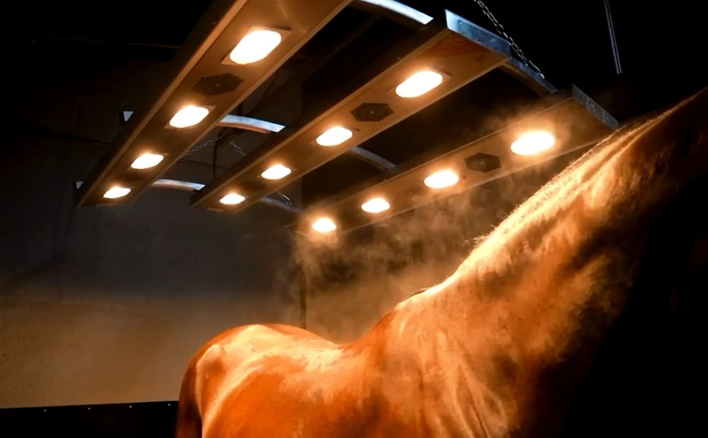 Solarium dla koni terapia podczerwienią Drimee Sirocco