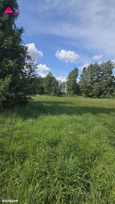 Malownicza działka 1430m² przy stawie, Tręby Stare - Więcej