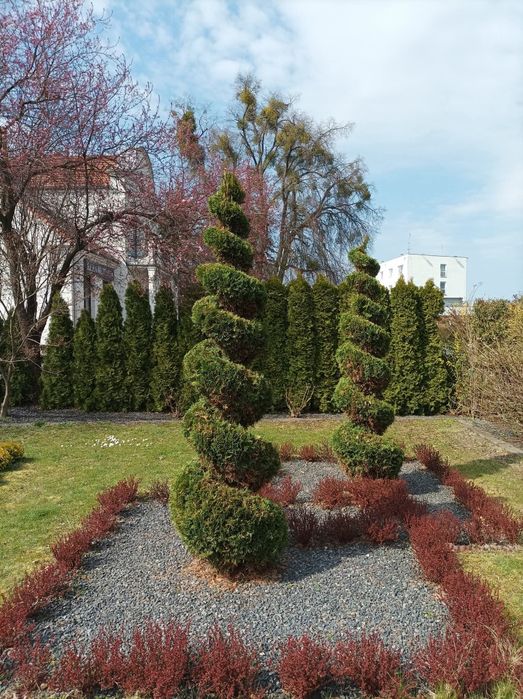 Pielęgnacja/zakładanie ogrodów, wertykulacja,usługi miniładowarką