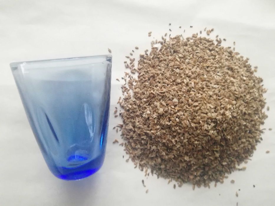 Насіння семена моркви  чисте гарна всхожість 5 сорті на вагу і роздріб