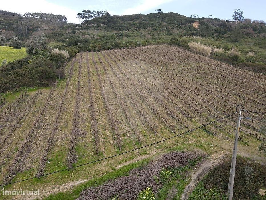 Terreno  para venda